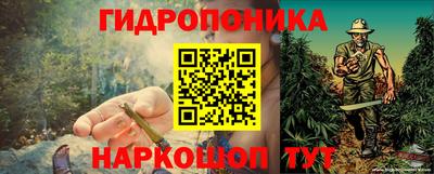 синтетический гашиш Кингисепп