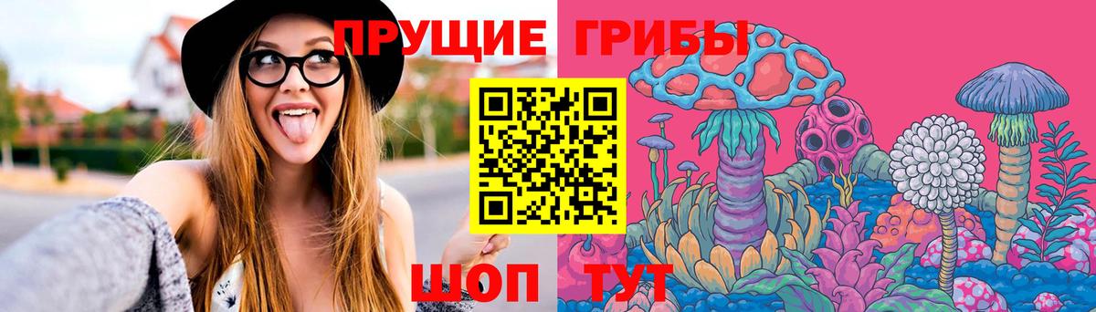 Морозовск  Галлюциногенные грибы Psilocybine cubensis  Вход с VPN  Галлюциногенные грибы GOLDEN TEACHER 