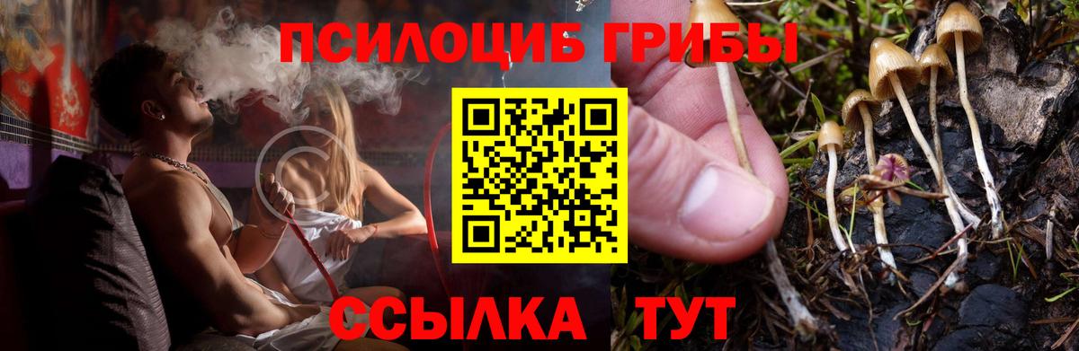 Псилоцибиновые грибы мицелий Морозовск